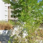 Photo de l'Établissement eva tutelles à Bourgouin-jailleu